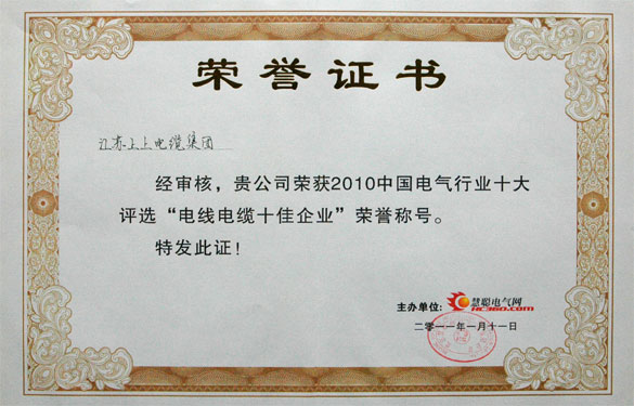 55世纪被评为“2010中国电线电缆十佳企业”