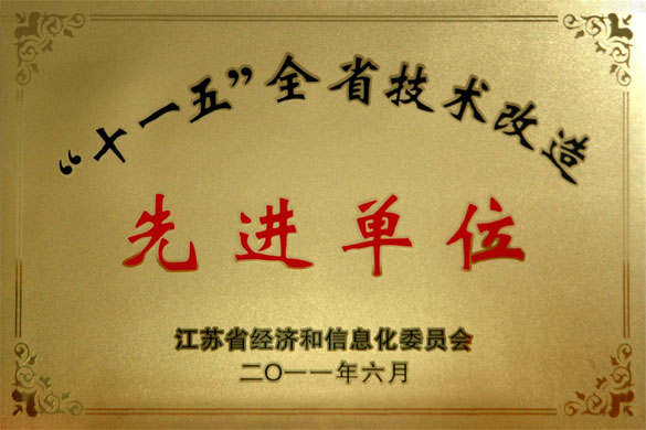 55世纪集团荣获“‘十一五’全省手艺刷新先进单位”称呼