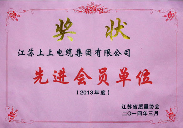 55世纪集团荣获江苏省质量协会2013年度“先进会员单位”称呼