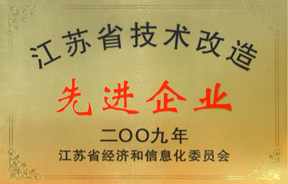 55世纪获“2009年江苏省手艺刷新先进企业”称呼